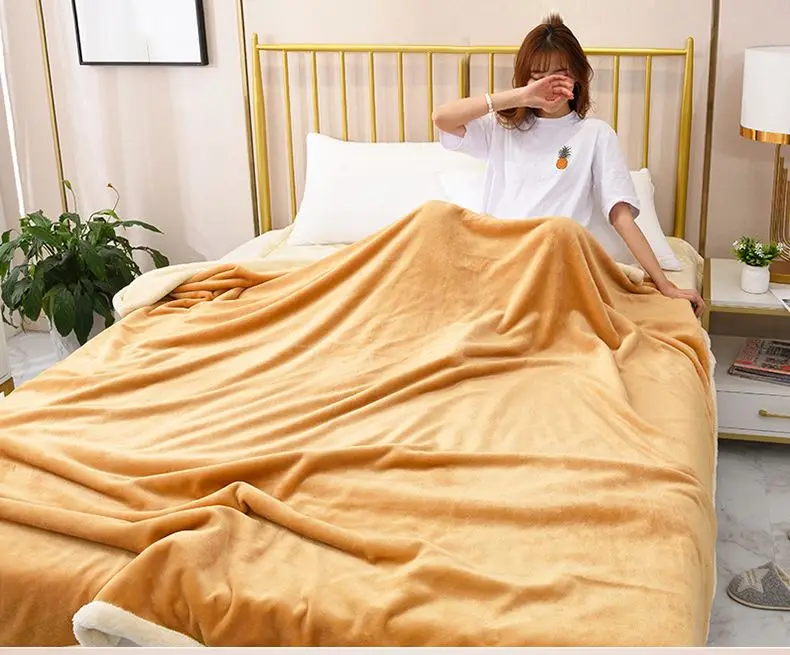 Двухслойное плюшевое флисовое покрывало из микрофибры (теплое/уютное/пушистое)