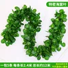 90-leaf begonia leaves [5 leaves]
