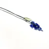 Larkspur di luglio
