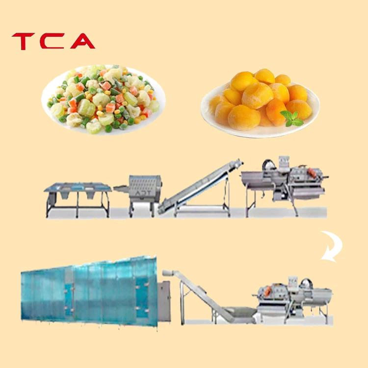TCA Frozen Vegetable Production Line Iqf Fruits and Vegetables Line for Cucumbers Tomatoes and Snow Peas