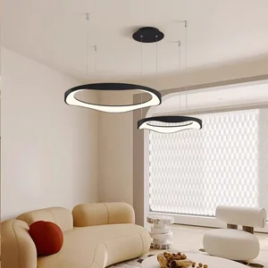 Modern Nordic Minimalist Chandelier for Simple Living & Dining Room Creative Personality Light for Master Bedroom