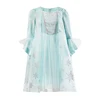 Queen Elsa's dress