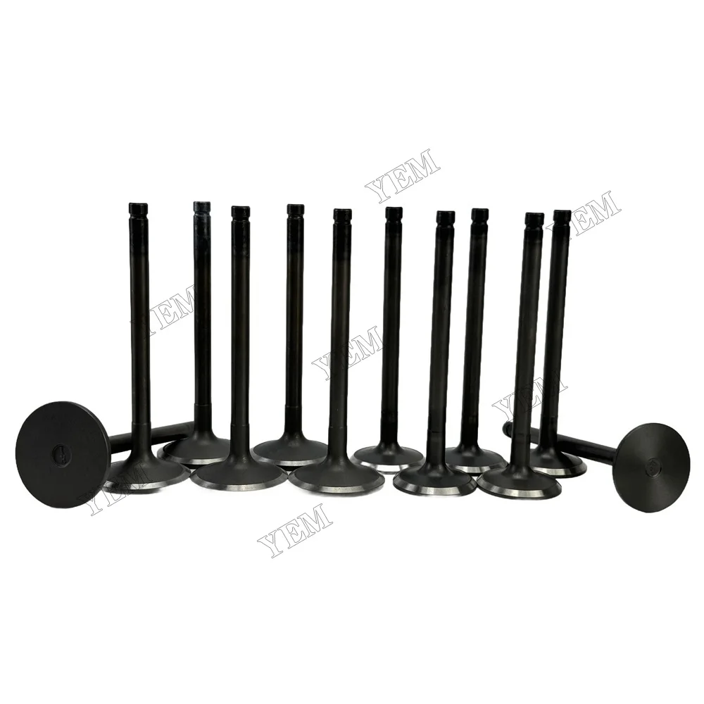 Exhaust Intake Valve Fit for Hino H07C Engine