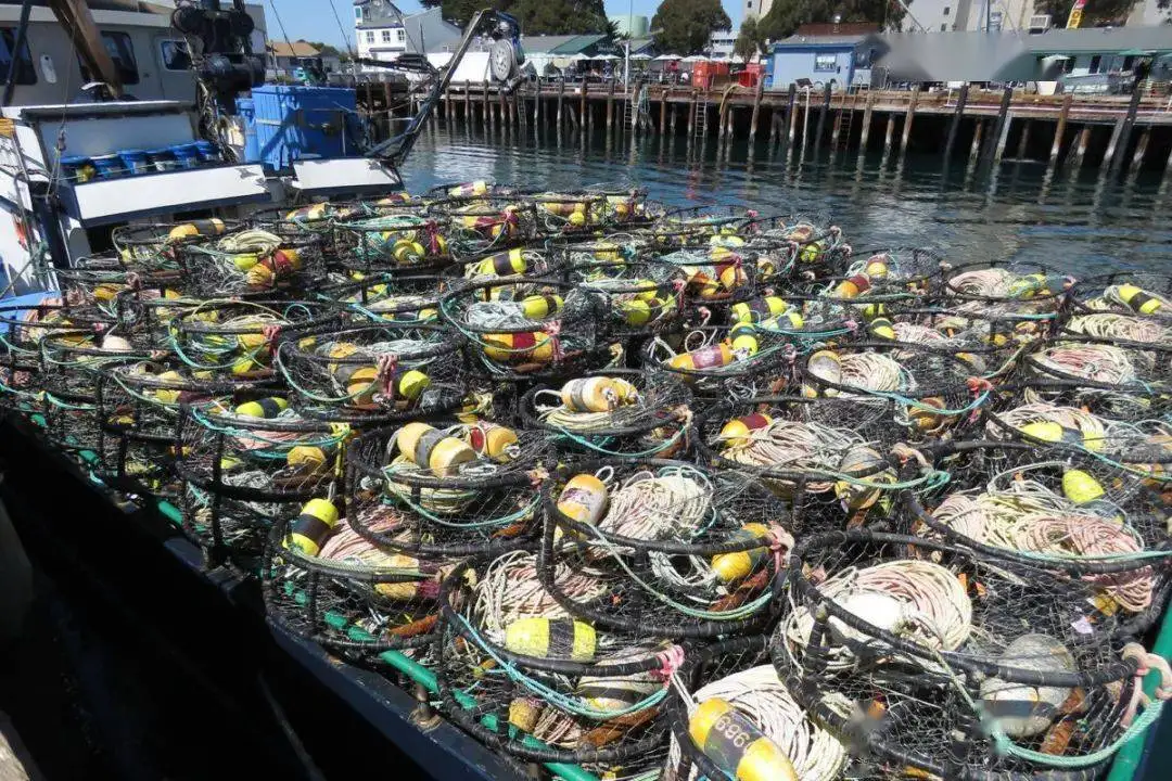 Rectangular Folding Hdpe Crab Trap/lobster/fish Cage Multifilament ...