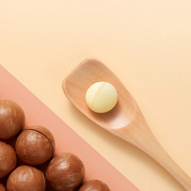 VANILLA FLAVOR Macadamia Nuts in the Shell Bulk Supply for Export at Best Price Delicious Macadamia Nuts