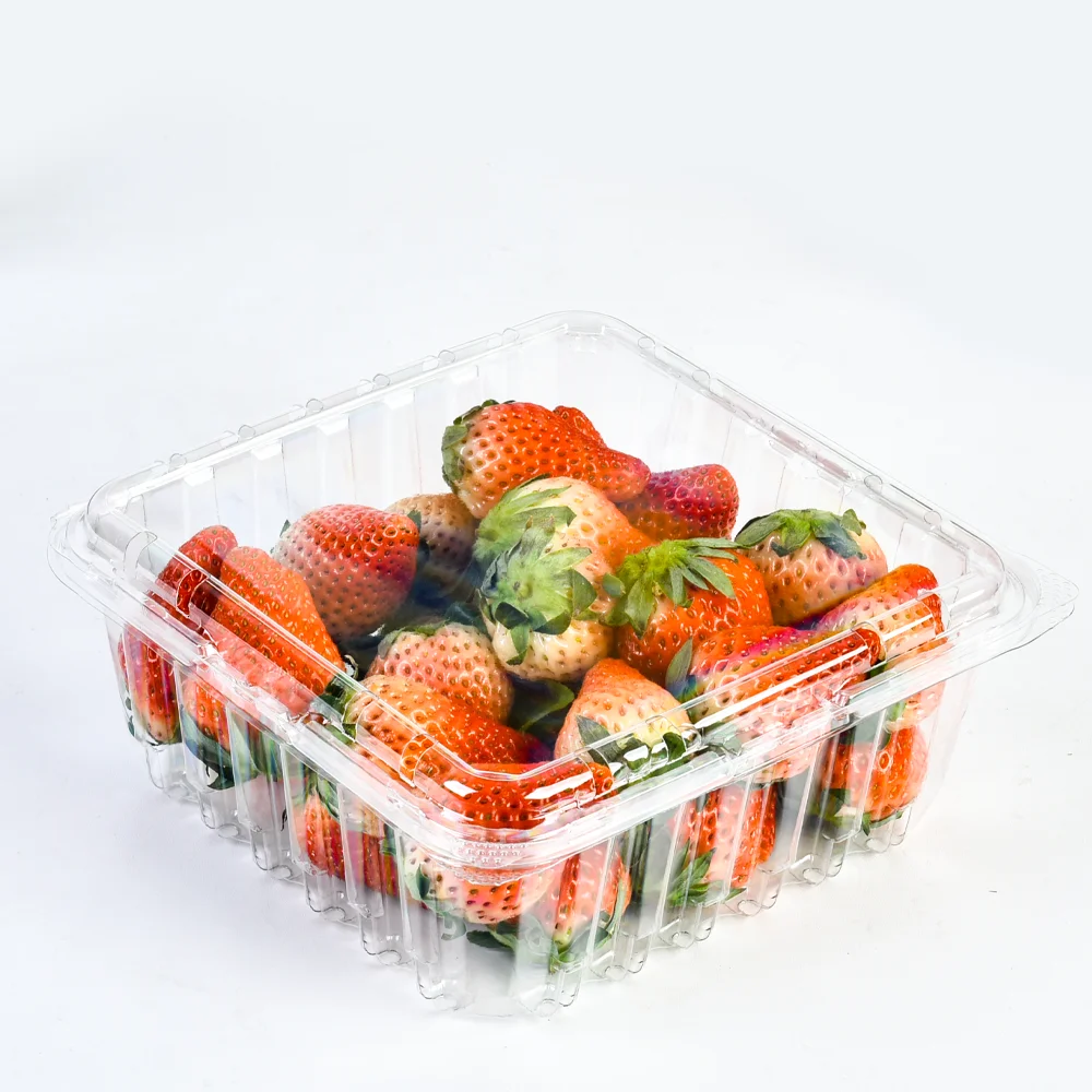 Factory 2LB Blueberry Packaging Recycled Plastic Fruit Packaging clear Box Fruit Berry Blueberry Clamshell Container with Holes