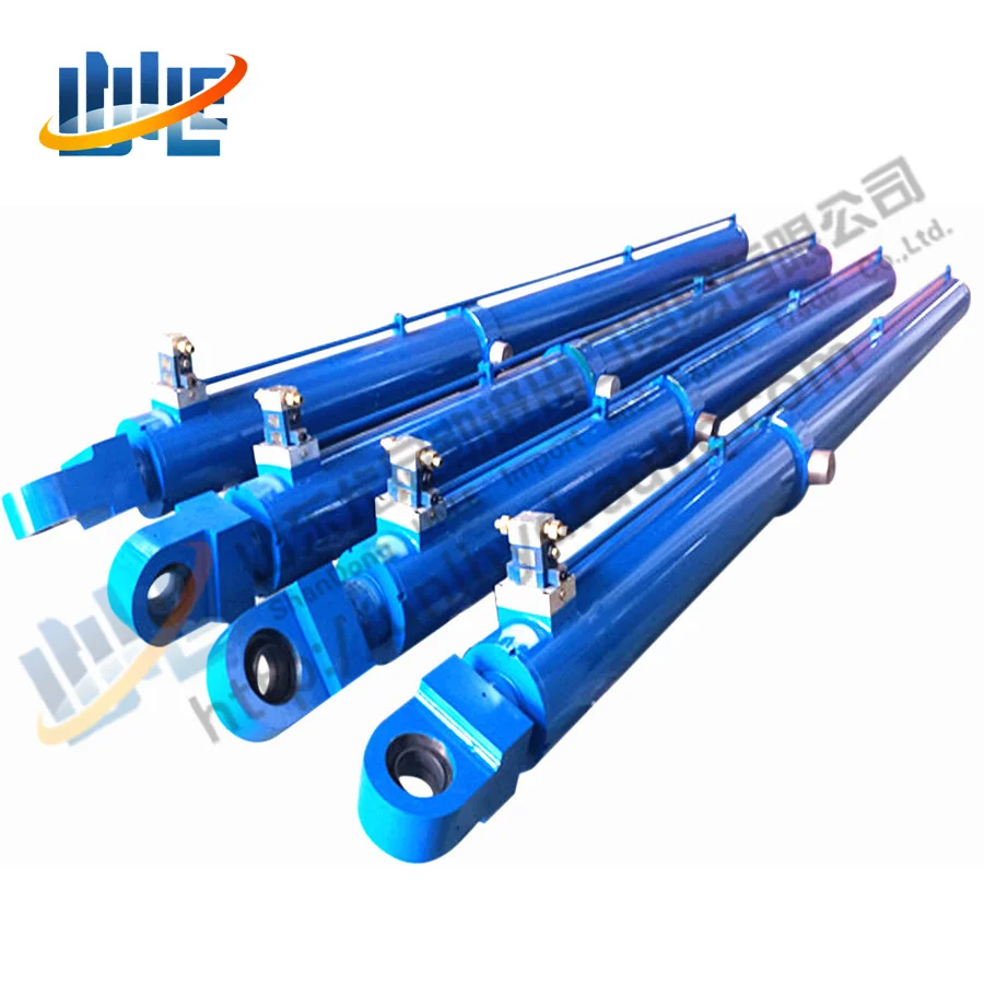 Factory Customized Large Water Project Stainless Water Project Hydraulic Hoist Cylinder for Dam Gate