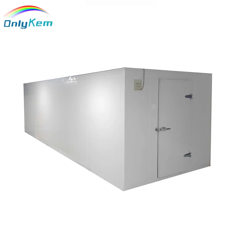 Chiller Room Door/ Cold Storage Replaced Door/ Cold Room Hinged Door