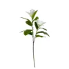 Magnolia white-80cm