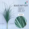 Large bunches of long-haired reeds, grayish-green