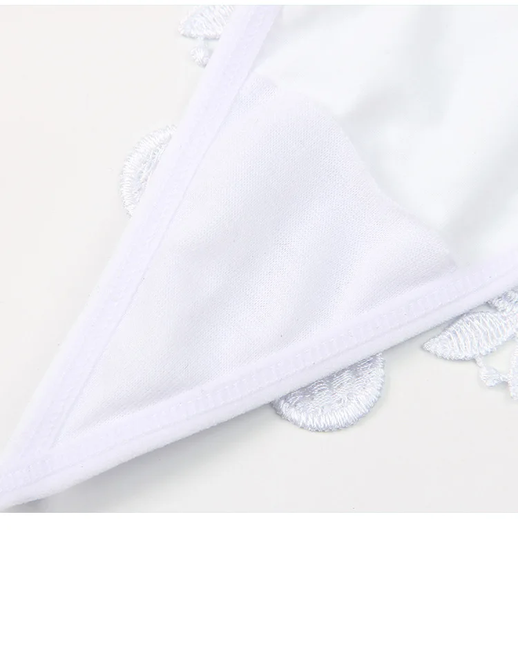 Wholesale New Arrival Nylon Women's Panties Breathable and Antibacterial Ladies Panties Women's Underwear Custom OEM Supplier