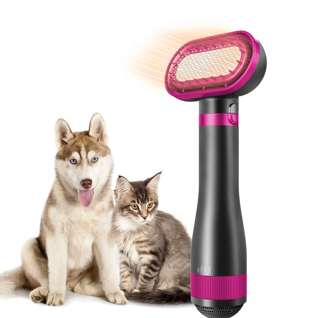 Low Noise 2 In 1 Portable 3 Adjustable Blowing Dryer Pet Hair Dryer Home Pet Grooming Cat Hair Comb Dog Dryer Blower
