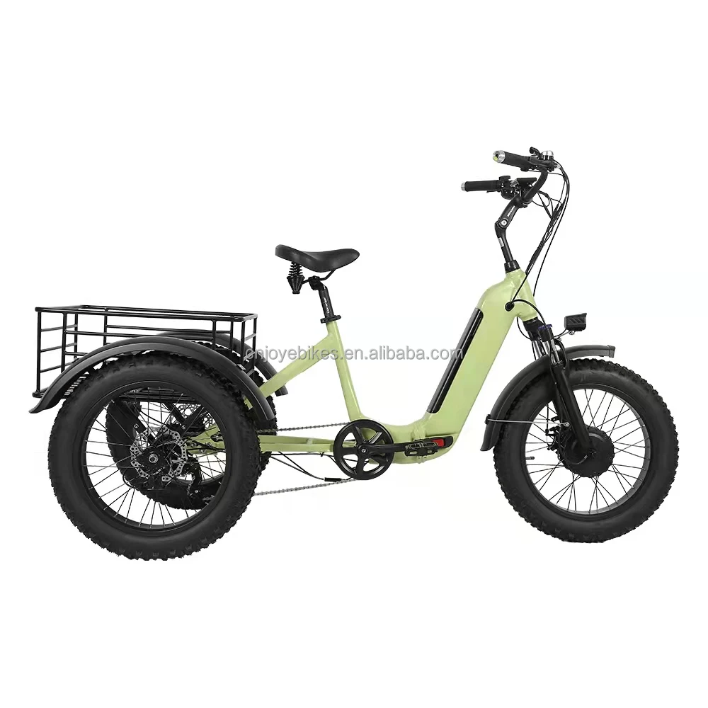 Joyebikes 20 Inch Tricycle Electric Trike 500w Motor Fat Tire 3 Wheel E