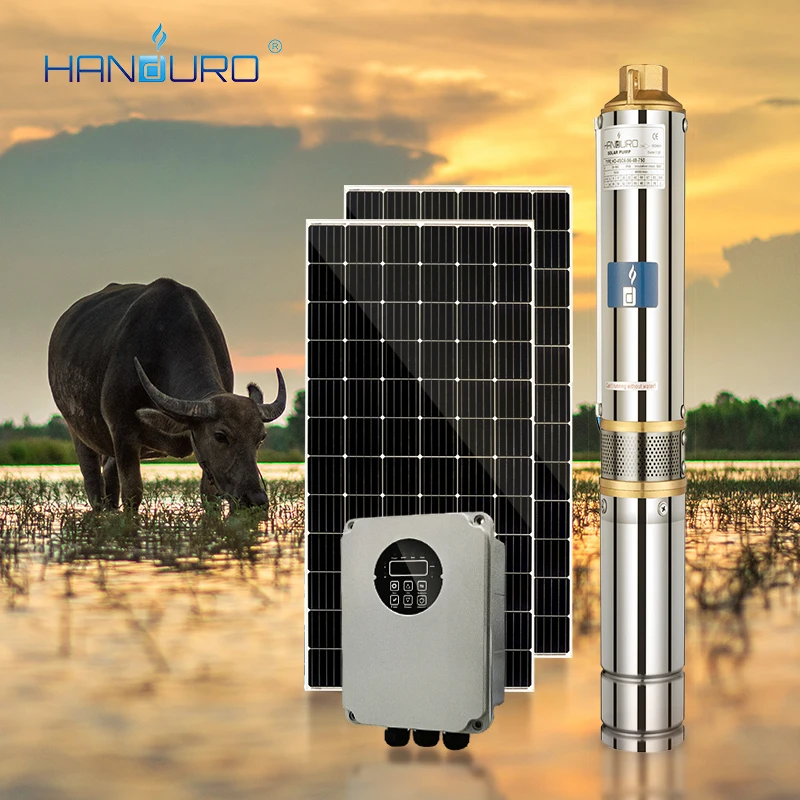 2HP China Bigger Flow 1500w Solar Water Powered Water Pump for Irrigation Yemen Market