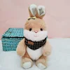 Brown bib bunny