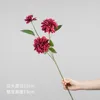 3-headed dahlia - wine red