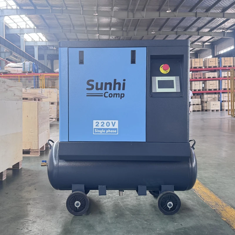 Industrial Small Compressor for Spraying Painting air Compressor for Car 220V Single-Phase Screw Air Portable