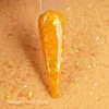 Bagliore del campo di zucca