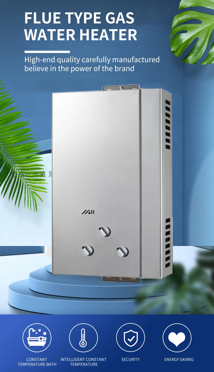 6l20l Wall Mounted Gas Water Heater Flue Exhaust Tankless Water Heater