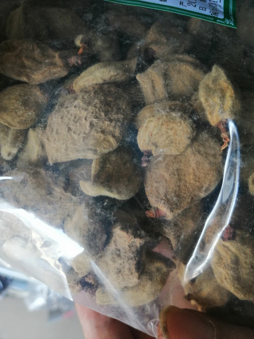 Herb Young Immature Fruit of Peach Dried Immature of David Peach for Sale