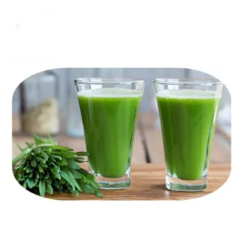 100% Water Soluble Health Green Drink Wheat Grass Juice Powder
