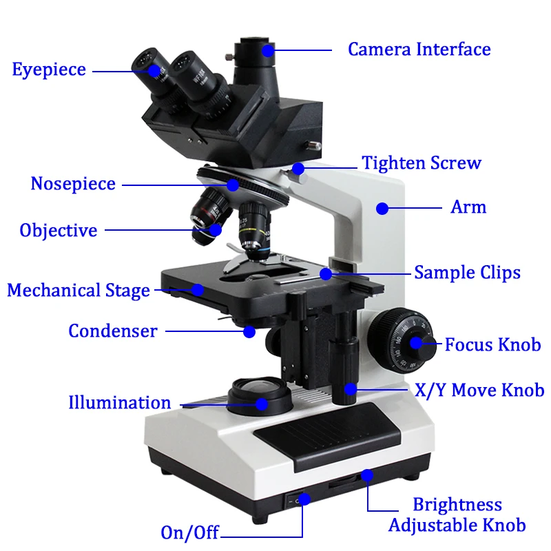 Xsz-107bn Cheapest Trinocular Biological Microscope For Biology With ...