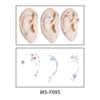 WS-F095