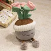 Planta en maceta rosa rosa claro-30cm