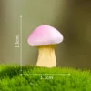 No 4-dream mushroom