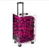 199 rose colorate rosso pallido 40*30*60