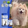 Fruits & Vegetables