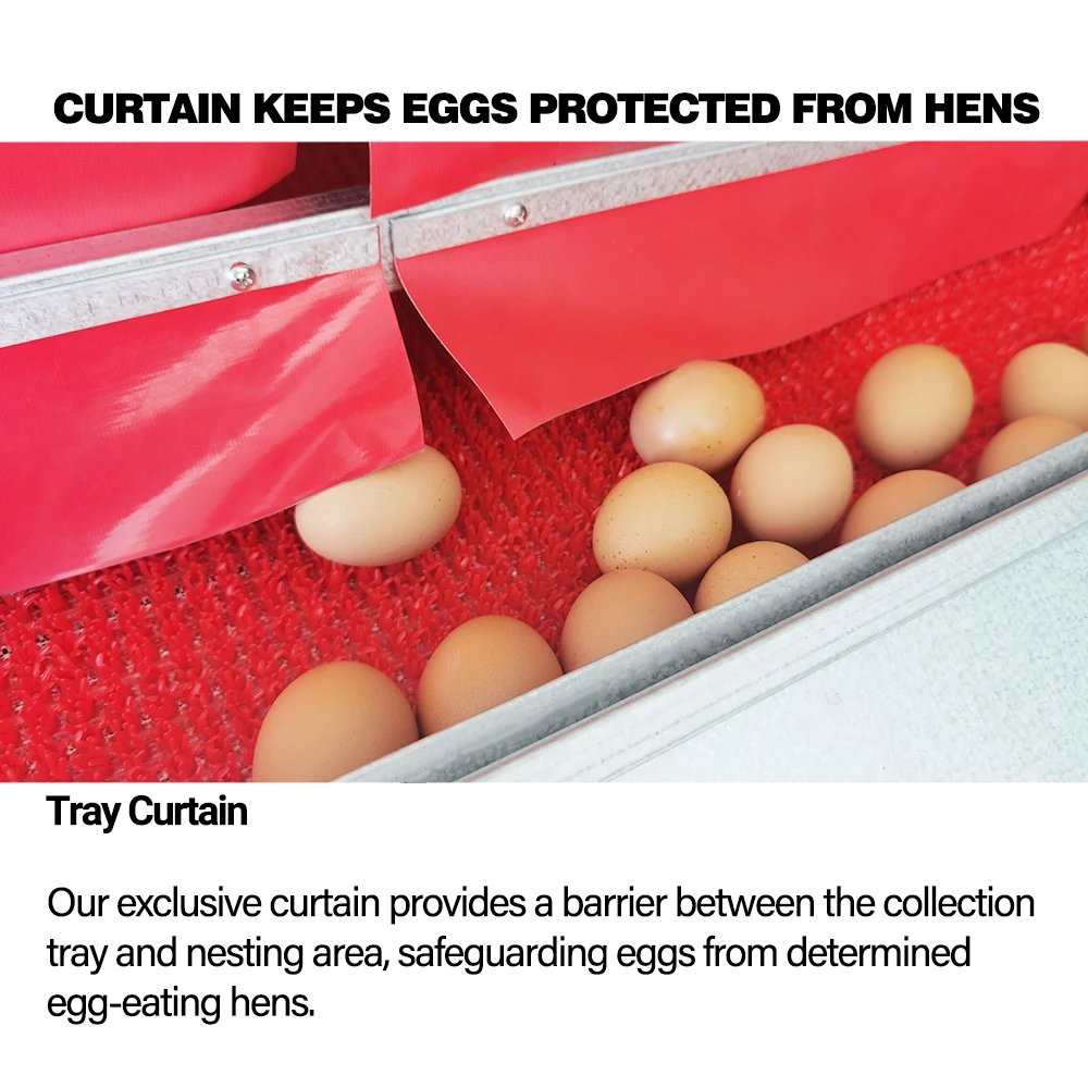 POULTRY HELPER Automatic Reversible Chicken Poultry Nesting Box for Laying Chicken Egg Nest Box Machine  Chicken Laying Boxes