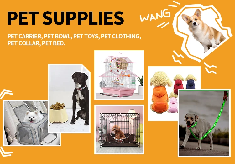 New Design 3in1 Pet Bowls And Feeders Factory Direct Supply High