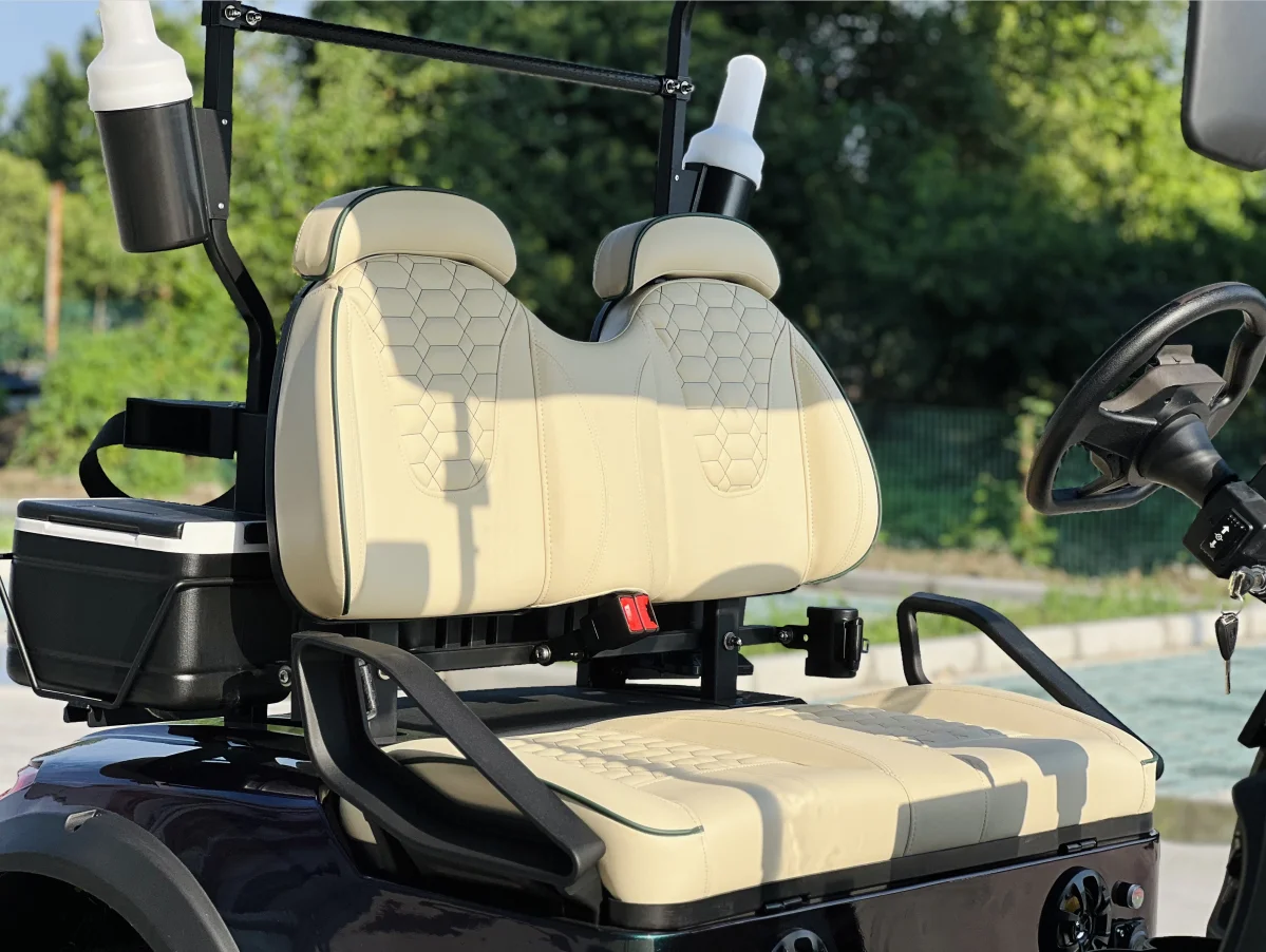 Nlwg2 2seater Electric Golf Cart With Bump Custom Body Color Seat