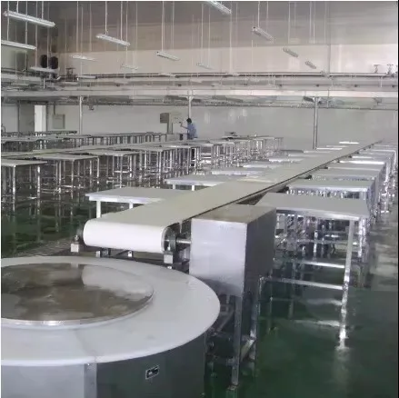 Efficient meat deboning and striping lines in stainless steel construction for beef, pork, lamb and poultry processing