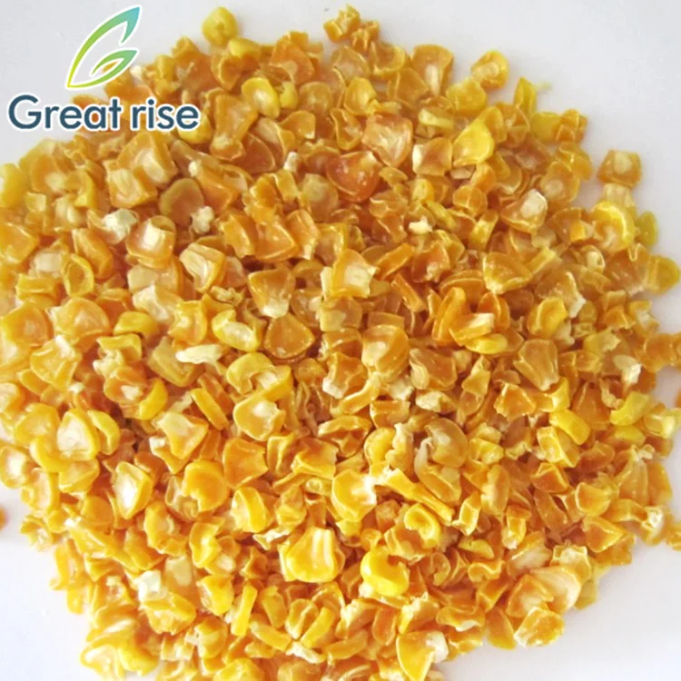 Organic Freeze Dried Yellow Sweet Corn Extract Powder Buy Freeze