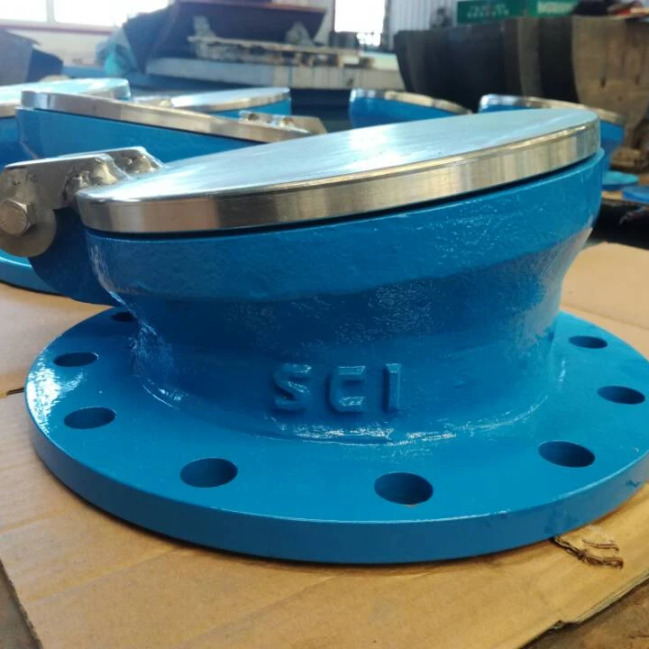 ductile iron flap valve