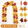 21 Autumn Maple Vines - K [2m]