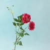 One magenta branch