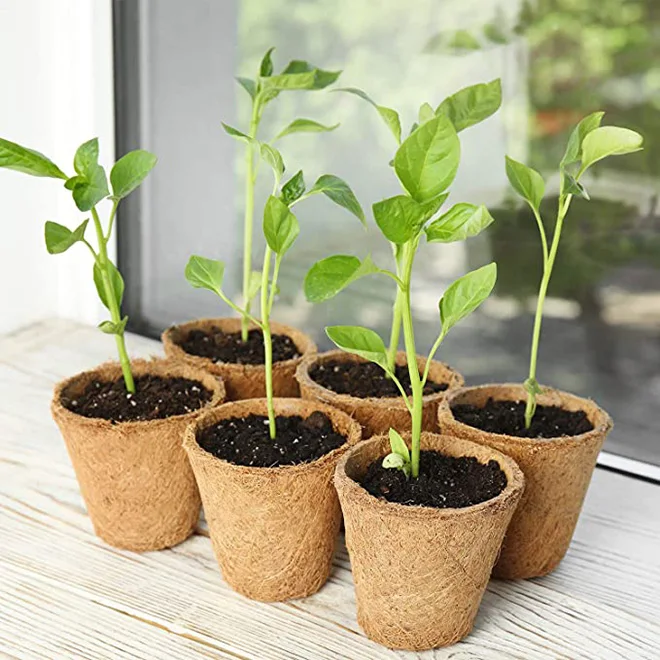 Wholesale 3 Inch Round Peat Pots - Biodegradable Planting Pots for  Eco-Friendly Seedlings in Garden Supplies & Nurseries