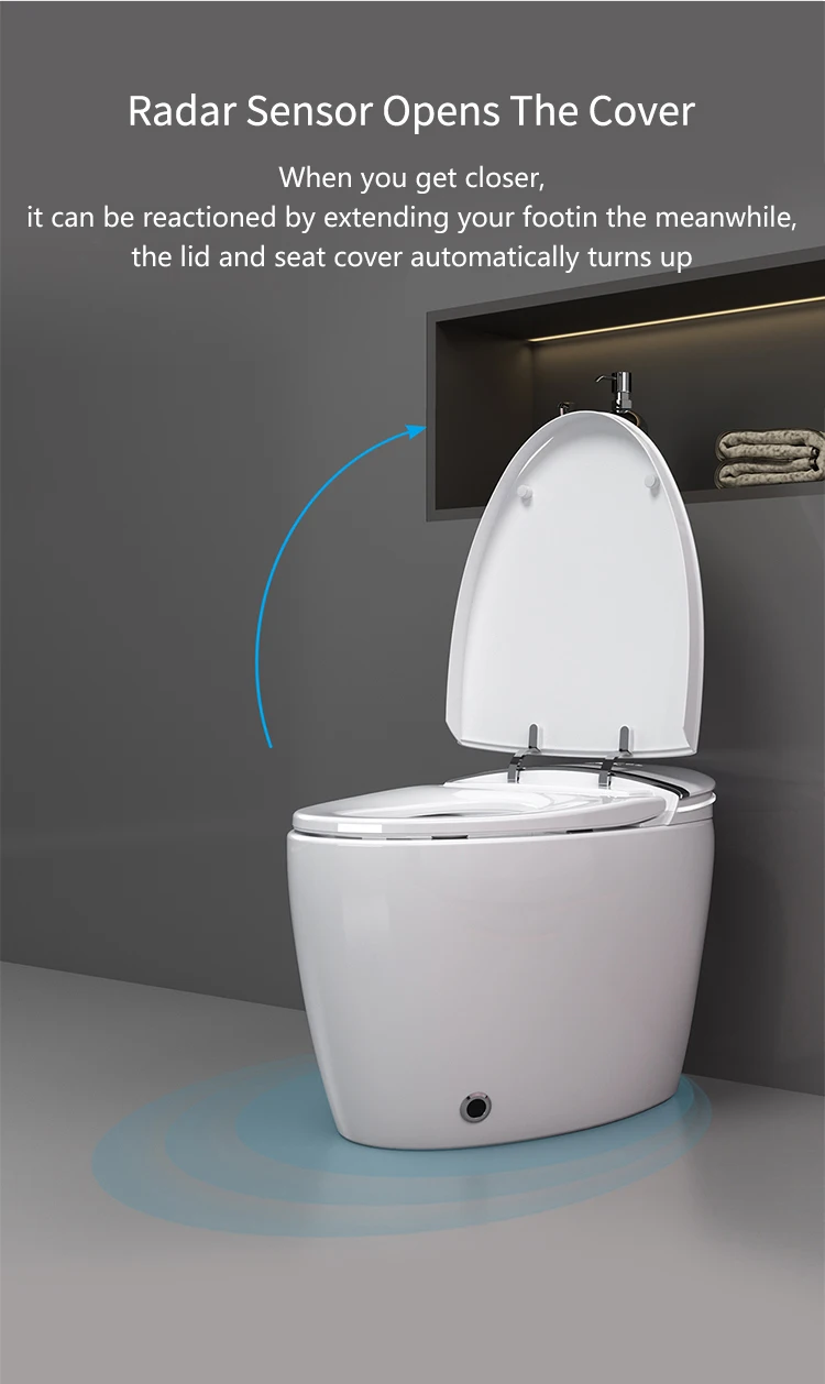 Ceramic Automatic Self Flushing Bathroom Smart Toilet Egg Shape Intelligent Sanitary Ware Bidet Toilet Bowl supplier