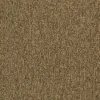 Brown09