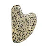 GS970 Dalmatian Jasper
