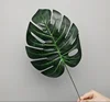 Foglia di Monstera Grande e Verde Intenso