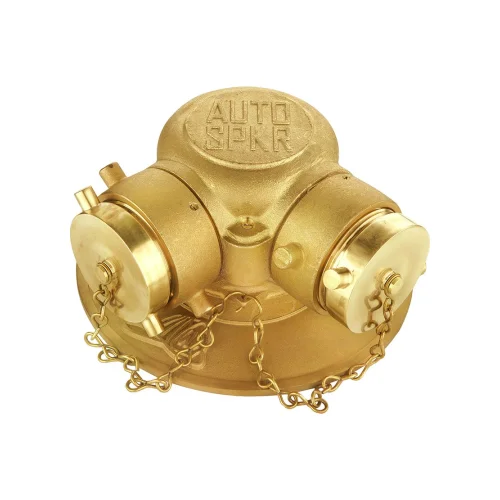 Siamese Connections with Clapper supplier