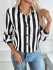 Camicia nera