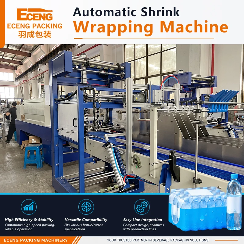 Automatic Pick Up and Place Carton Box Packing Machine for PET Bottles
