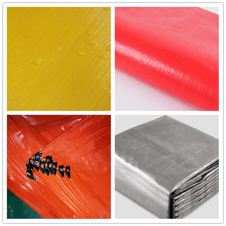 tarp