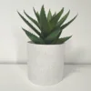 White marble spots with tray