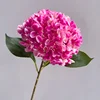 5# Rosa rosado